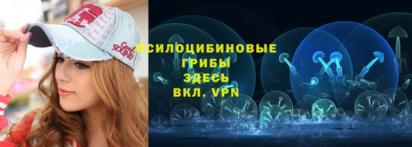 ГАЛЛЮЦИНОГЕННЫЕ ГРИБЫ Горно-Алтайск