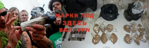 тгк Горняк