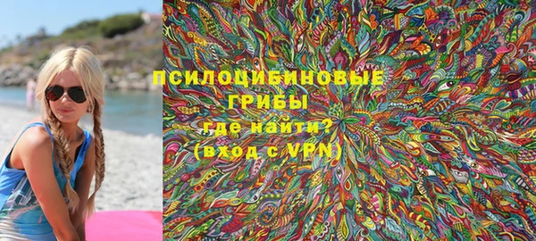 ГАЛЛЮЦИНОГЕННЫЕ ГРИБЫ Горно-Алтайск