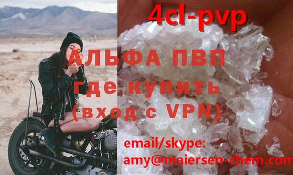 ГАЛЛЮЦИНОГЕННЫЕ ГРИБЫ Горно-Алтайск