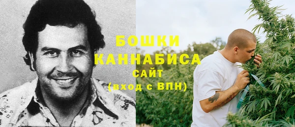 стаф Горнозаводск