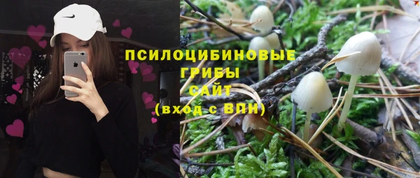 тгк Горняк