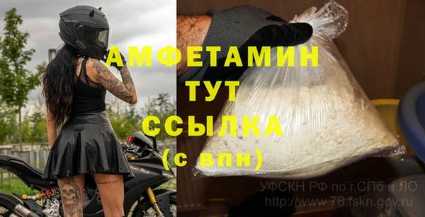 ГАЛЛЮЦИНОГЕННЫЕ ГРИБЫ Горно-Алтайск