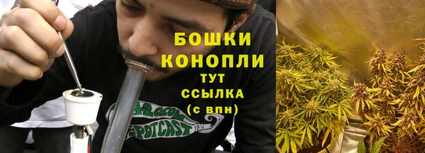 стаф Горнозаводск