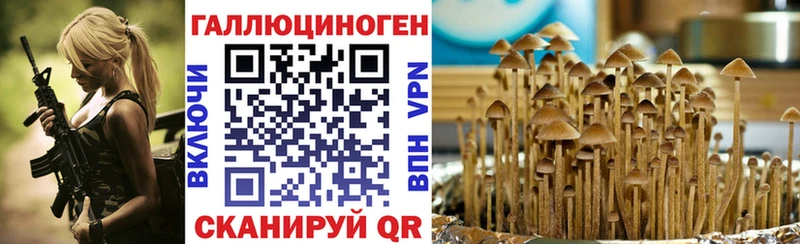 Купить где  Нягань  Галлюциногенные грибы мицелий 